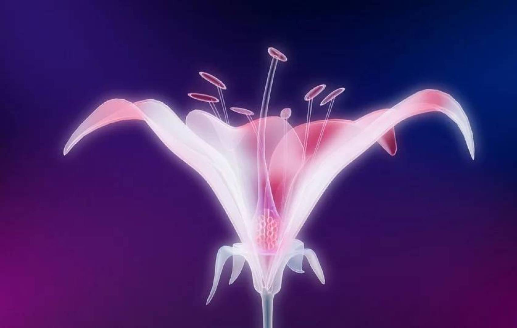 الذكاء الاصطناعي يكشف كيف يتغير جسم المرأة خلال سن اليأس