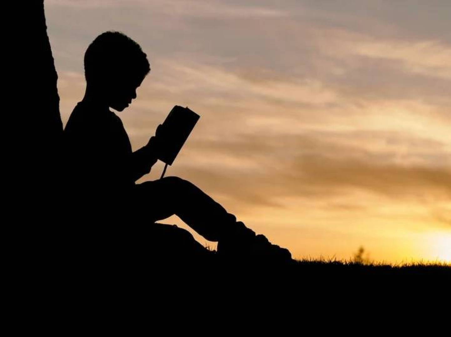 الكشف عن الأسباب الحقيقية لمشكلات القراءة لدى الأطفال