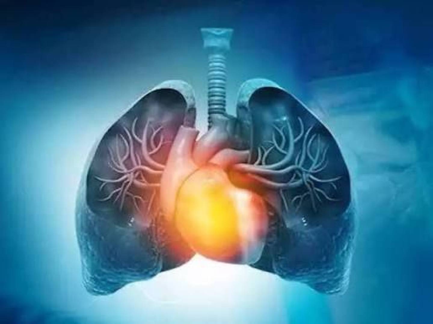 السمنة تقلل وظائف الرئة ولها تأثيرا مباشر على التنفس لدى كبار السن