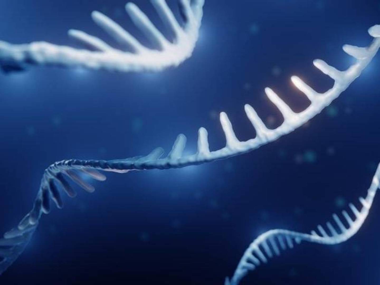 اكتشاف جزيء RNA يوجد لدى النساء فقط وقد يساعد في التنبؤ بالأمراض