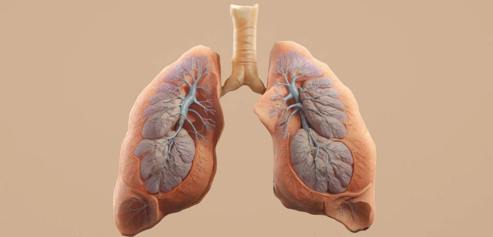 تقنية تعتمد على الذكاء الاصطناعي للكشف عن طفرات سرطان الرئة