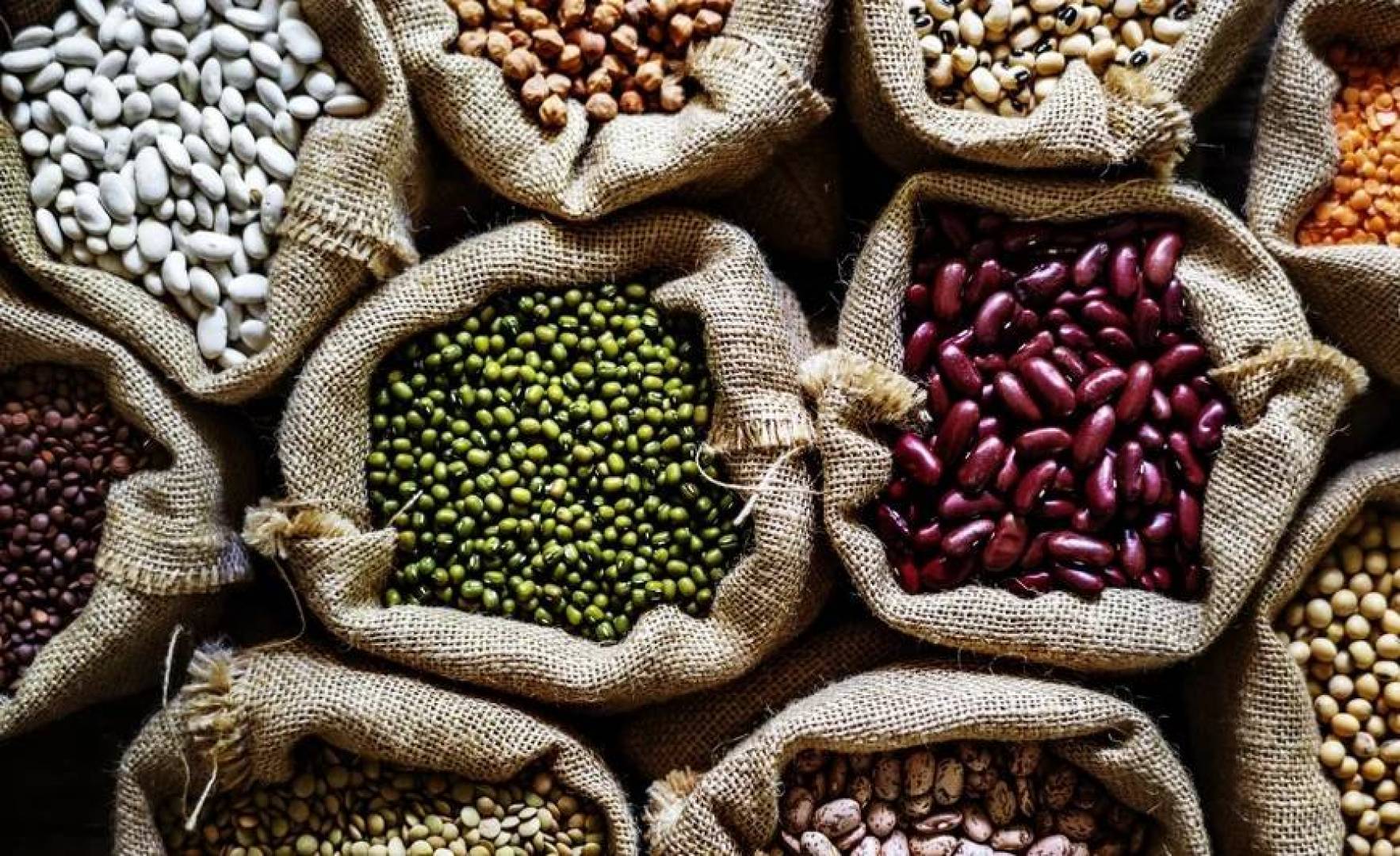 روسيا تطور أصنافا جديدة من فول الصويا تتجاوز 50% من البروتين