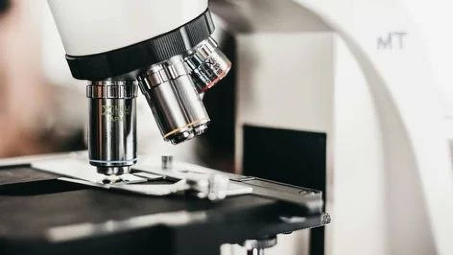 نموذج ثلاثي الأبعاد جديد يحاكي البكتيريا المقاومة للمضادات الحيوية بدقة غير مسبوقة