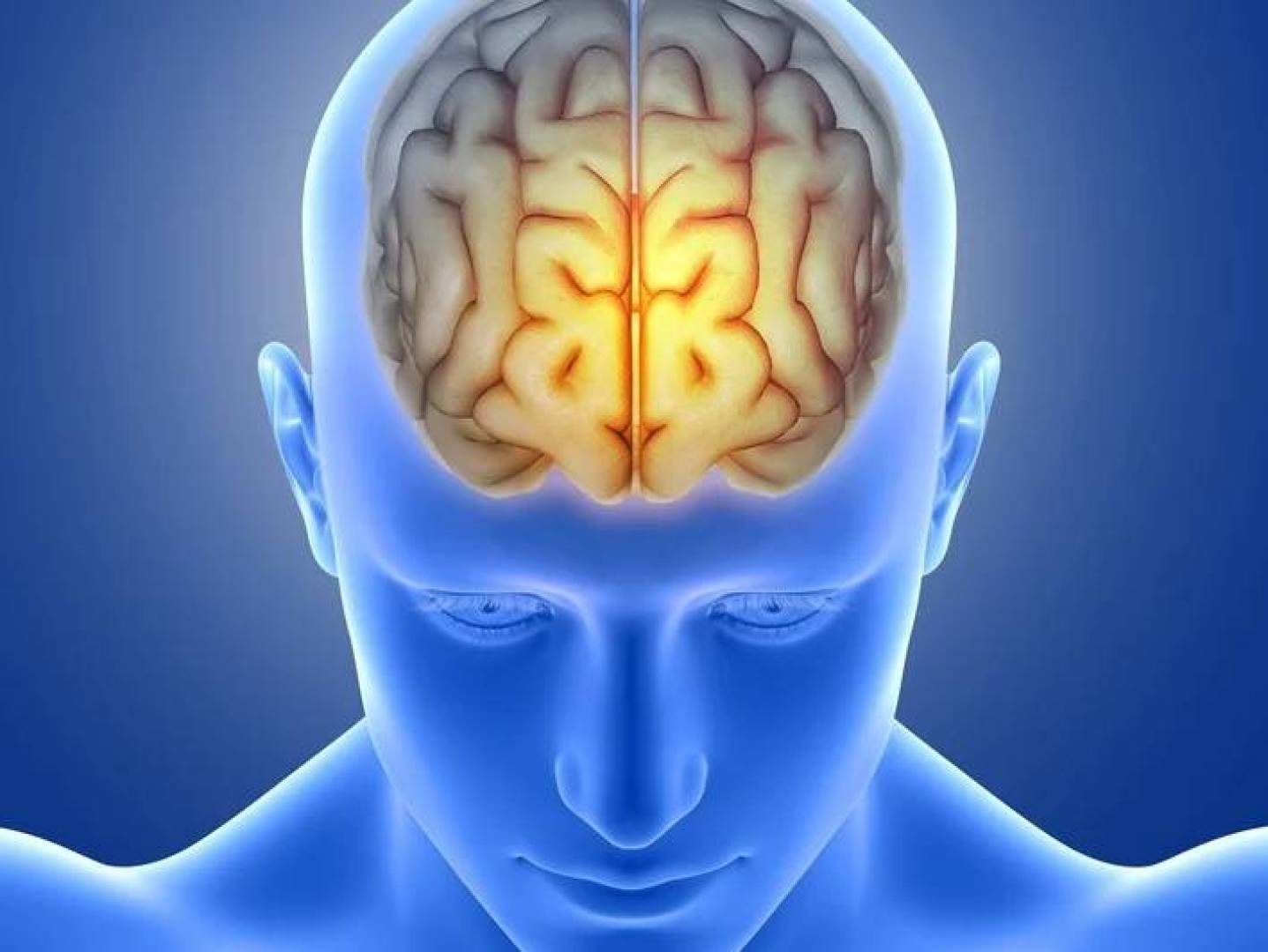 دراسة تكشف كيف يوازن الدماغ بين الصوت والصورة أثناء مشاهدة الأفلام