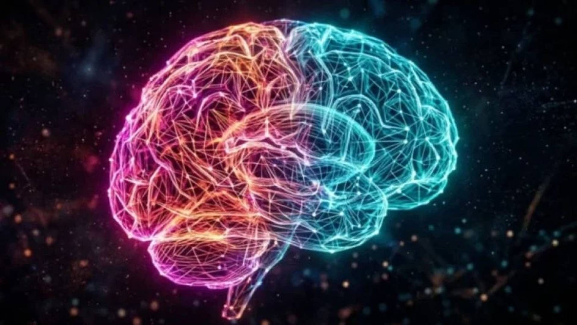 أداة ذكاء اصطناعي جديد تكشف شبكات الاتصال الخفية داخل الدماغ