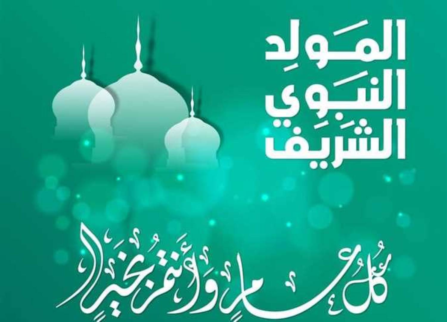 في رحاب المولد النبوي الشريف, اليمن بين بركة المناسبة وثبات الموقف وإسقاط الرهانات