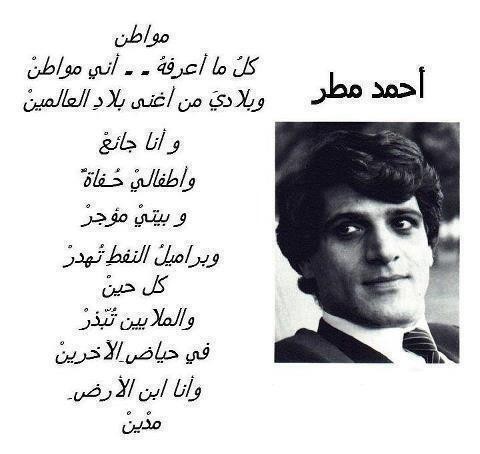 يكذبون بمنتهى الصدق  ويغشون بمنتهى الضمير و..