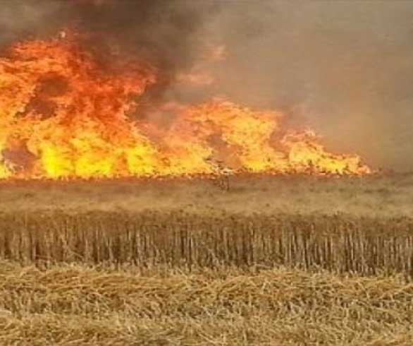 الاميريكيون يورطون الاكراد في فخ خطير .. حريق القمح يحرق سفن العودة 