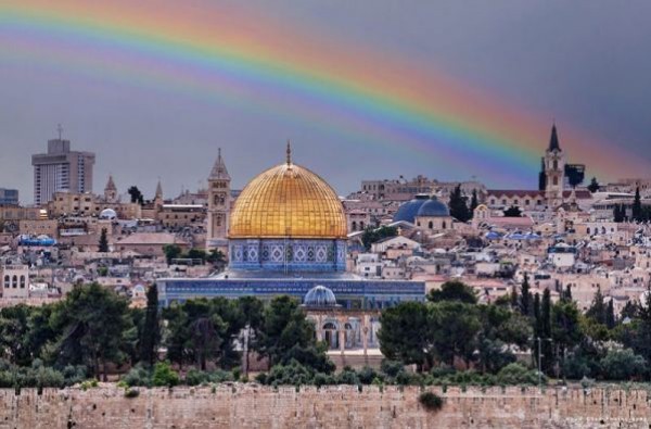 كفى توظيفاً للفلسطينيين في أجندات مشبوهة\ المهندس مدحت أبو الرب