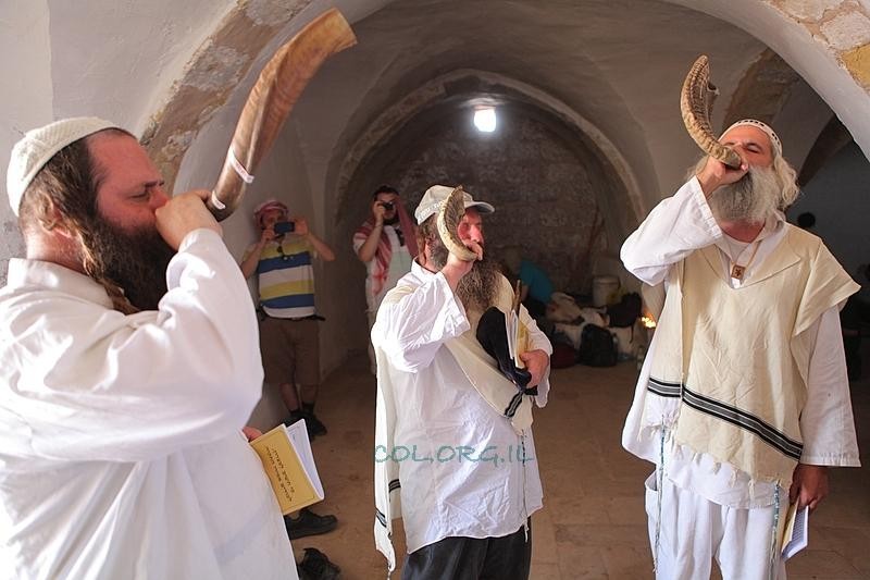 البترا في مرمى عين اليهود., زيارات وصلوات تلمودية ومشروع قانون معدل لسلطة البتراء سيمكنهم من تملكها, مشاهد وصور