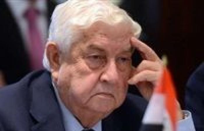 تعرف على المرجعيات والقواعد التي ستنظم عمل اللجنة الدستورية السورية