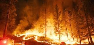 لبنان يستغيث،،، ودول ترسل طائراتها لإطفاء الحرائق في لبنان