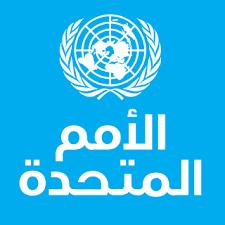 الامم المتحدة: عدم الرعاية الصحية سبب رئيسي لموت عدد كبير من الأمهات اليمنيات