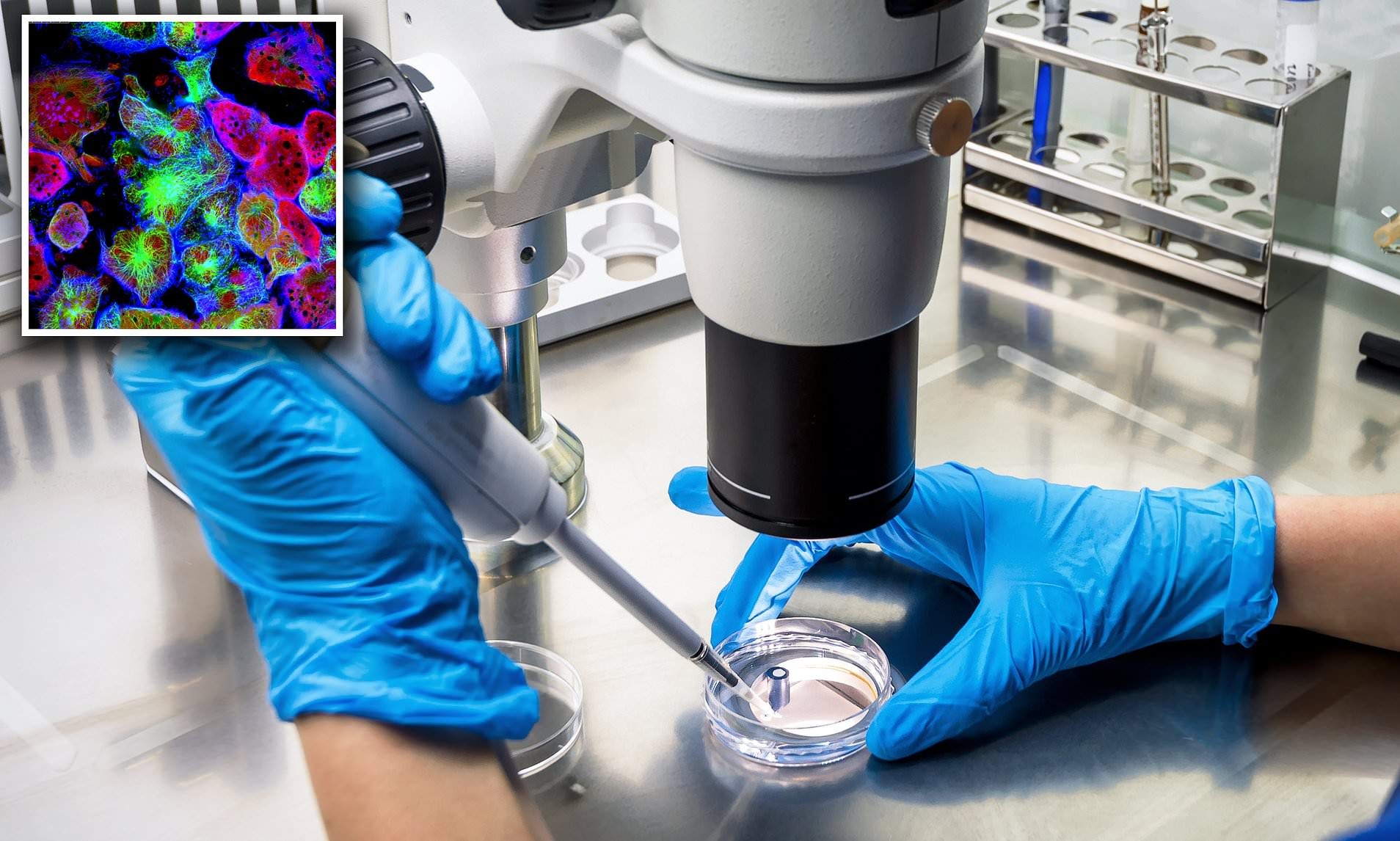 خاص: إضاءات, علماء يبتكرون فيروساً جديداً يستطيع قتل جميع أنواع السرطانات