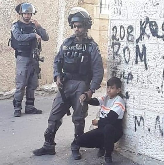 الطفل الفلسطيني محمد المحيسن 11 عام, أسد وسط قطيع من الكلاب, فيديو
