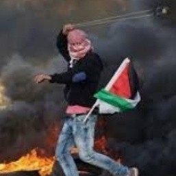 بالفيديو الوحشية الصهيونية في قتل الفلسطينين العزل