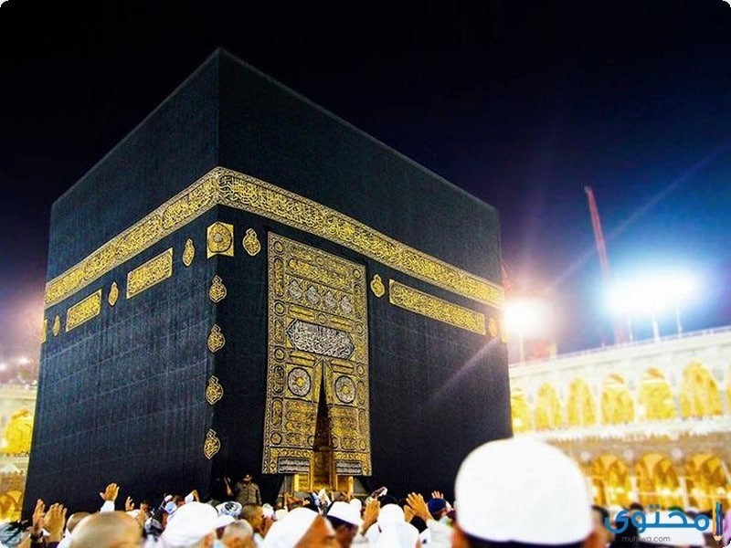 دماء علی ستاٸر الکعبة, الذکري ال40 لمذبحة الحرم المکي\ محمد سعد