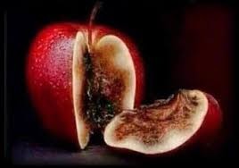 ترك الجوهر واتباع المظهر لدى النشأ بفقده المستقبل ويسبب الإحباط.\ ماجد الجاغوب