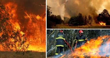 مقتل 12 استرالي في اندلاع حرائق والجيش الاسترالي يشارك في عمليات الإنقاذ