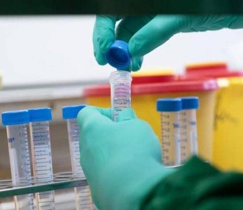 شركة متخصصة بعلاج المالاريا تكتشف دواء كورونا النهائي