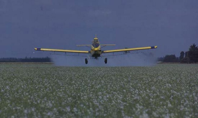 هذا ما ينقصنا.. طائرات العدو ترش مبيدات سامة على مزارع الفلسطينيين