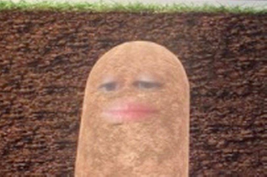 مديرة أميركية تتحول لحبة بطاطس وتضحك العالم ..صور