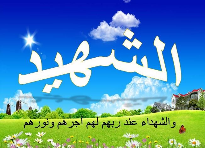 الشُّهَدَاءُ كِرَامٌ، وَالْمُطَبِّعُونَ لِئَامٌ.. شعر ابو الفواظم