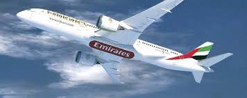 فيديو .. طائرة فاخرة إماراتية تنقل 