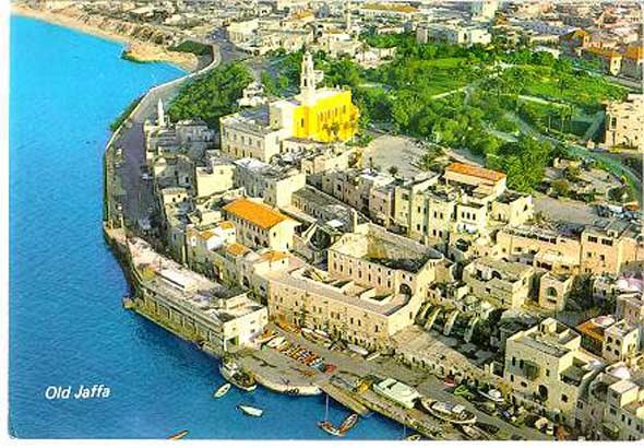 أبو صبحي اليافاوي يتحدث عن يافا.. أصبحنا كالأيتام على مأدبة اللئام, فيديو