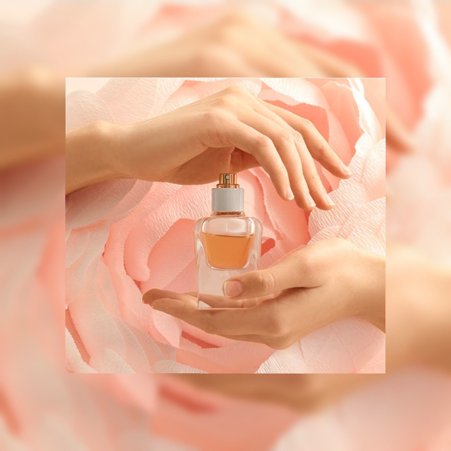تاريخ صناعة العطور واشهر عطور ل 2020