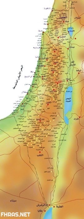 كتب عصام سكيرجي.. شطرى الانقسام والبديل الثوري