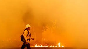 حرائق هائلة في غابات كاليفورنيا ..ومحاولات حثيثة للسيطرة عليها