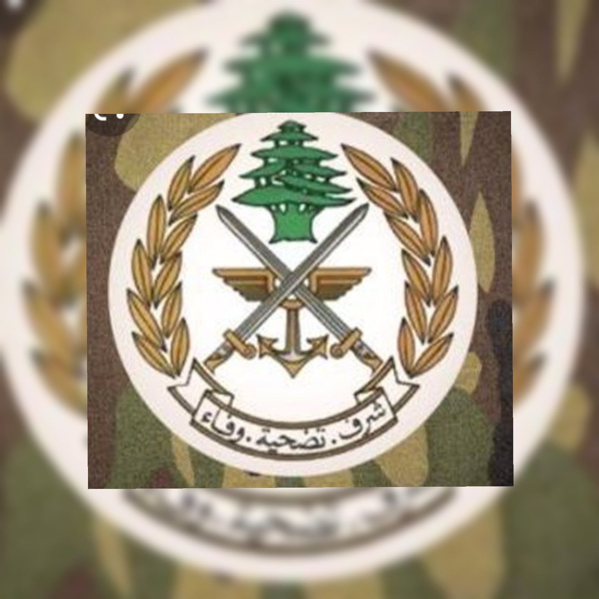 بيان هام لقيادة الجيش اللبناني عن وجود انفاق تحت بقعة الانفجار