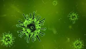 9 دول في العالم لم تسجّل إصابات بـفيروس كورونا.. تعرفوا إليها
