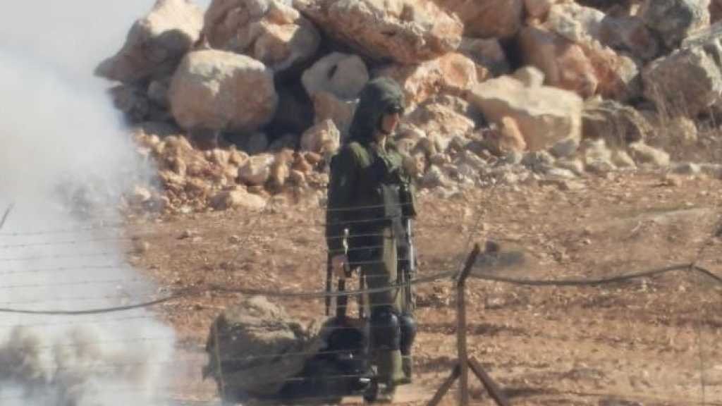 إعلام العدو:  نشر الدمى قبالة حزب الله أسلوب ولادي