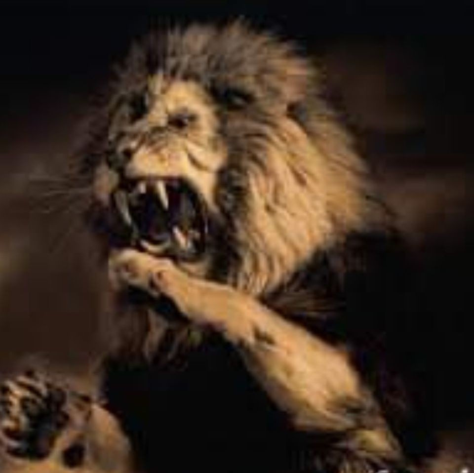 كتب ملهم أبوزامل.. لا تحاول حشر الاسود فأنت في زمن الافعال قبل الاقوال.