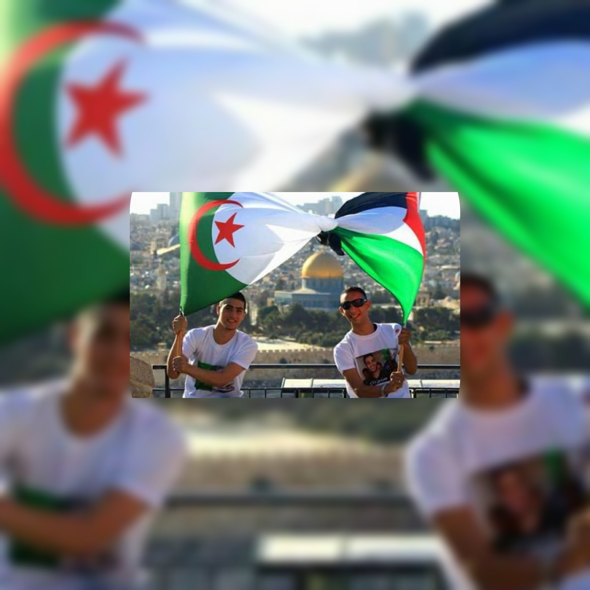 بالفيديو الشارع الجزائري يُرحب بموقف الرئيس تبون الرافض للتطبيع