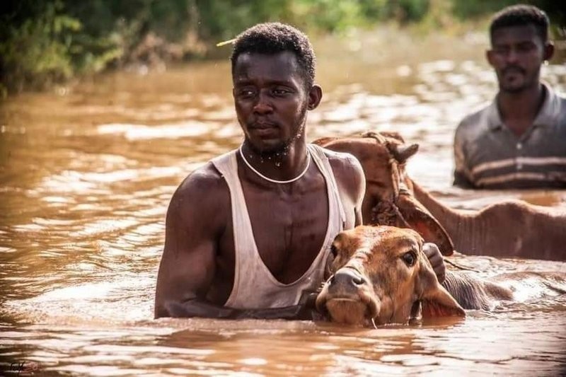 كتب م.حيان نيوف..  فيضانات السودان وتسييس الطقس 