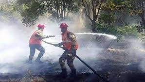 شاهد بالصور- حرائق صخمة تلتهم مساحات واسعة من الأراضي في سوريا