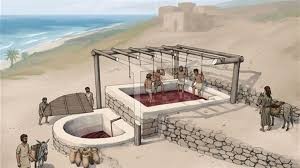 إكتشاف أول معصرة فنيقية للنبيذ في لبنان, صور