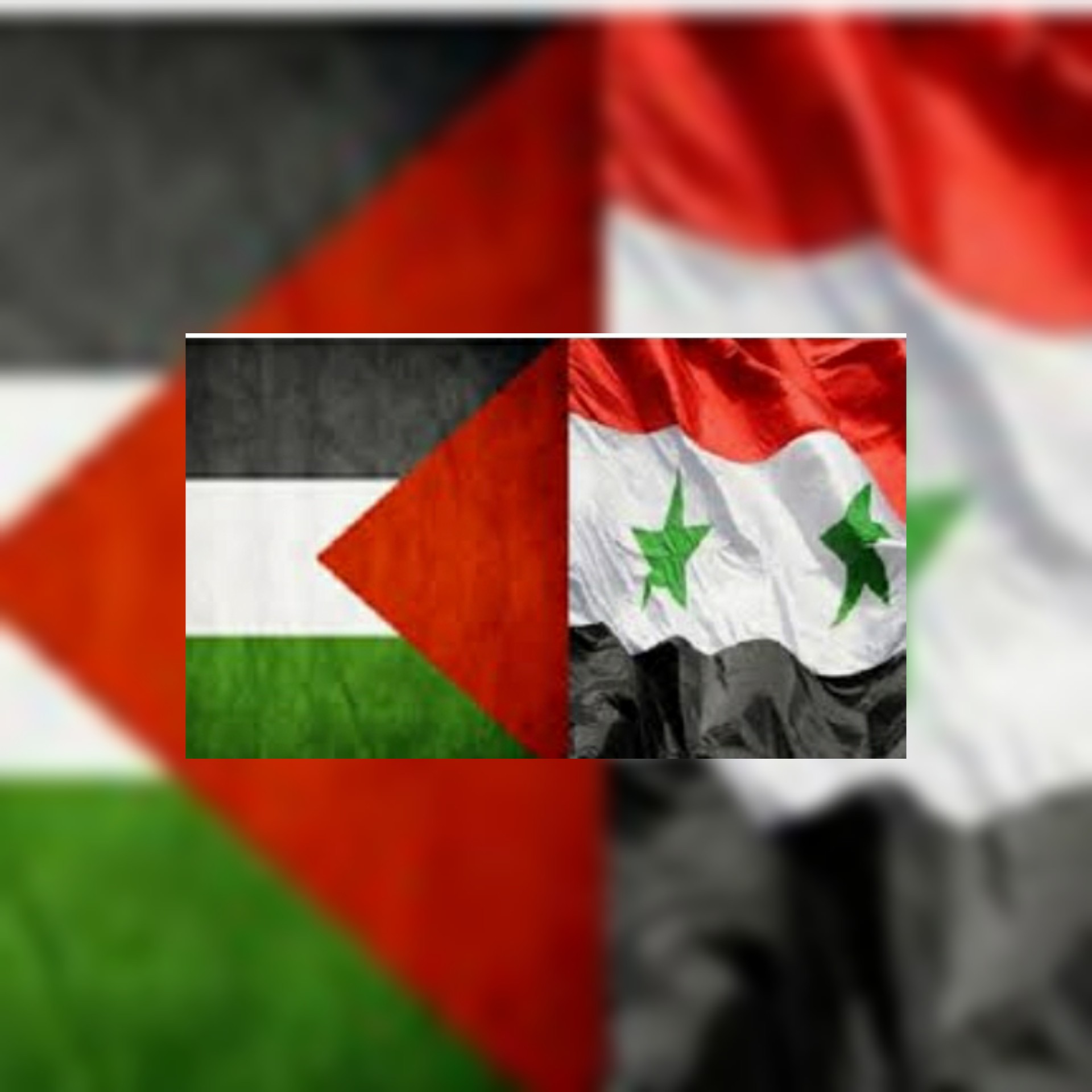 مصدر مسؤول في وزارة الخارجية السورية سوريا تجدد موقفها اتجاه الصراع العربي الإسرائيلي والقضية الفلسطينية