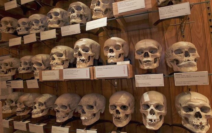 صدق أو لا تصدق.. ماذا صنعت فرنسا بعظام جزائريين قتلتهم