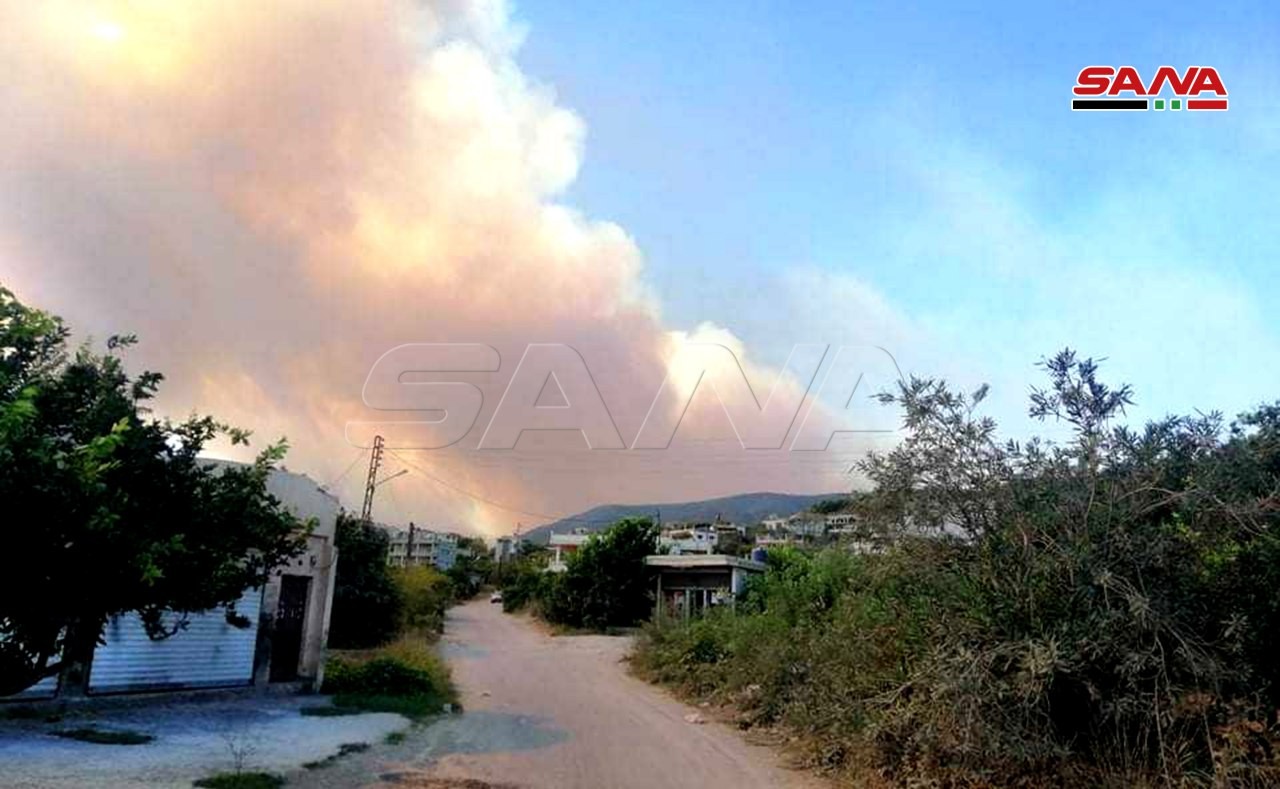 بالصور والفيديو -الحرائق في سوريا تلتهم مساحات واسعة من الأراضي الزراعية