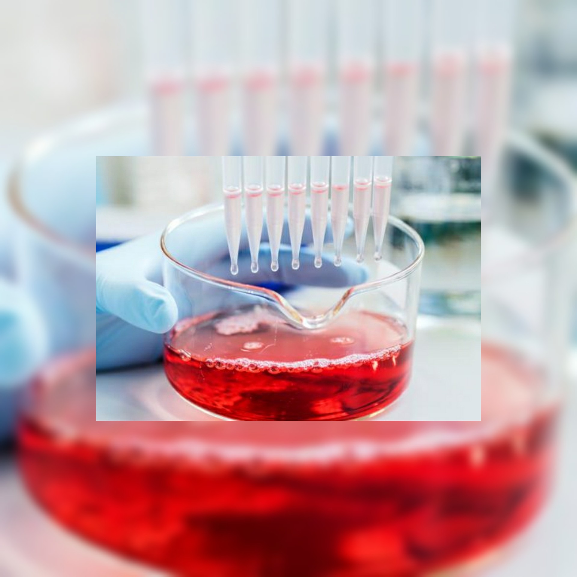 شركة ألمانية تستعد لترخيص لقاح فعال بنسبة 90% ضد كورونا