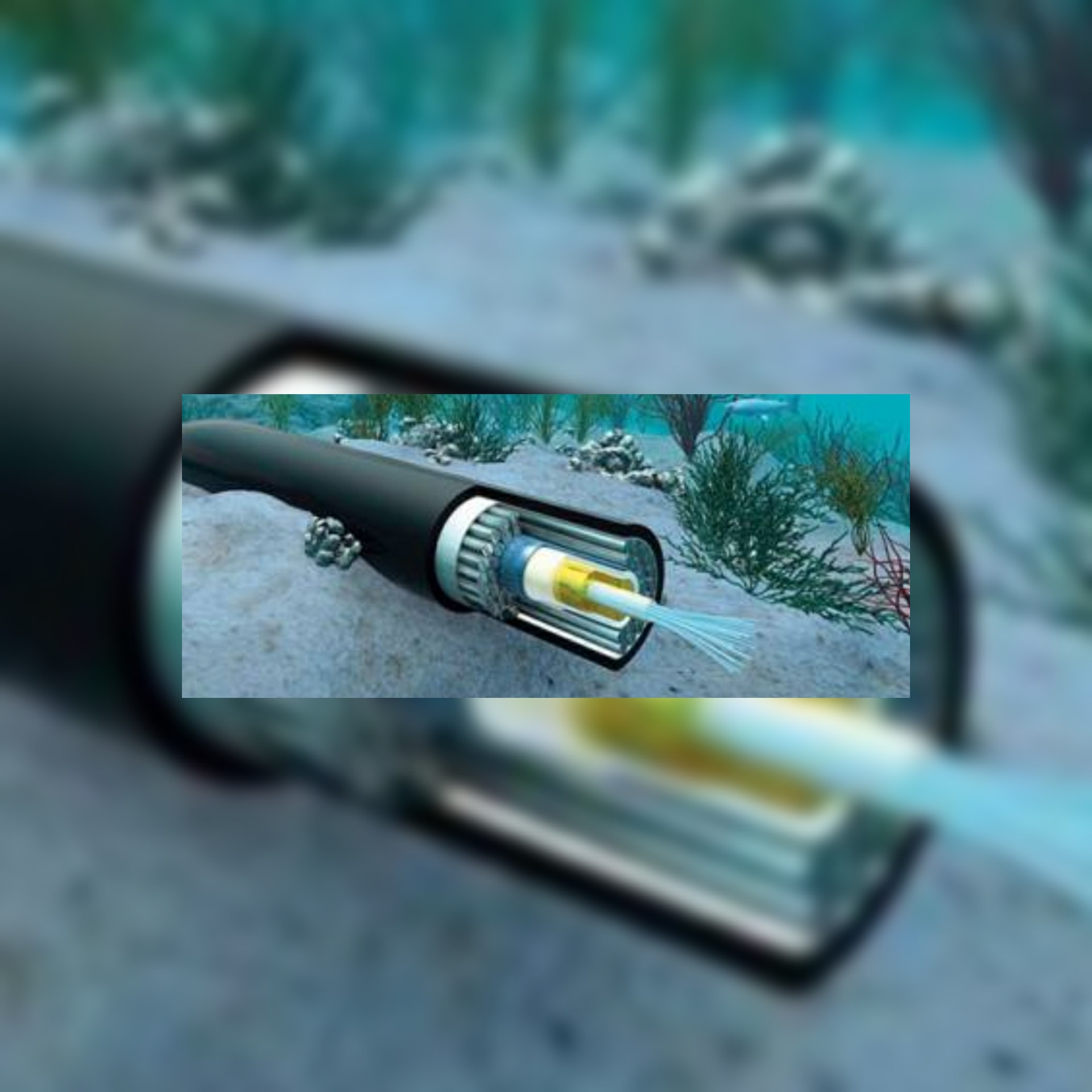 غوغل تخطط لمد كابل للإنترنت عبر فلسطين المحتلة والسعودية التفافا على مصر