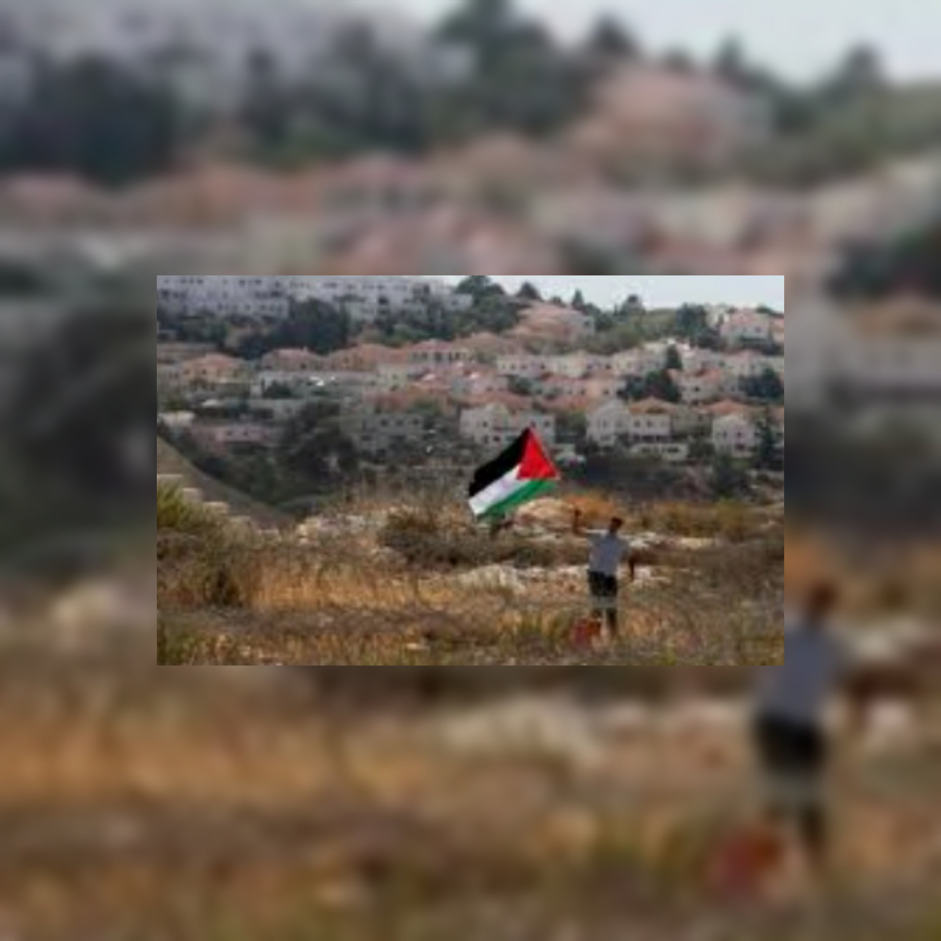 بعد إعادة عباس للتنسيق الأمني, الاحتلال يصادر 11 ألف دونم بالأغوار خلال نوفمبر الماضي.