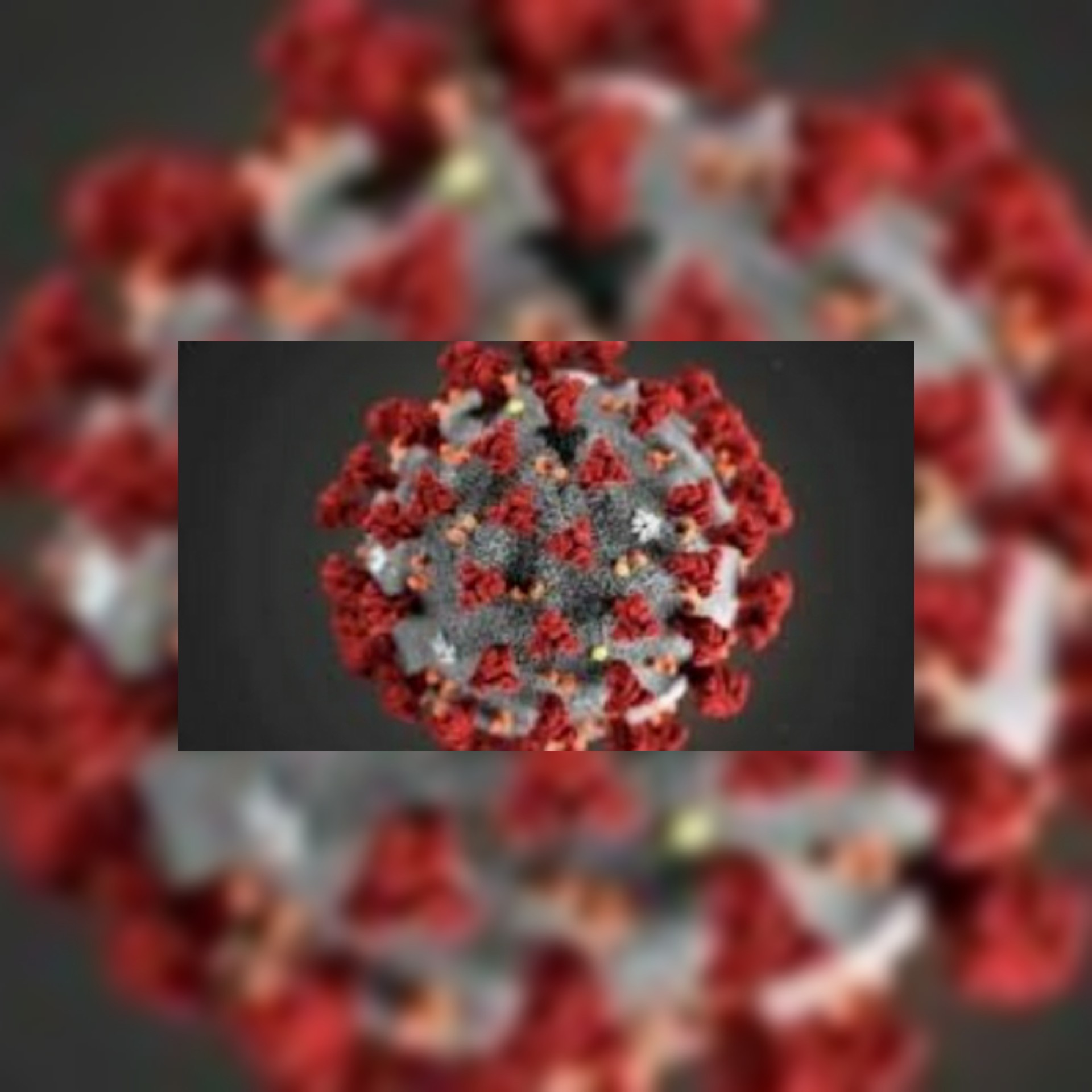 ظهور سلالة جديدة من كورونا في بريطانيا ومنظمة الصحة العالمية تعلق على الخبر