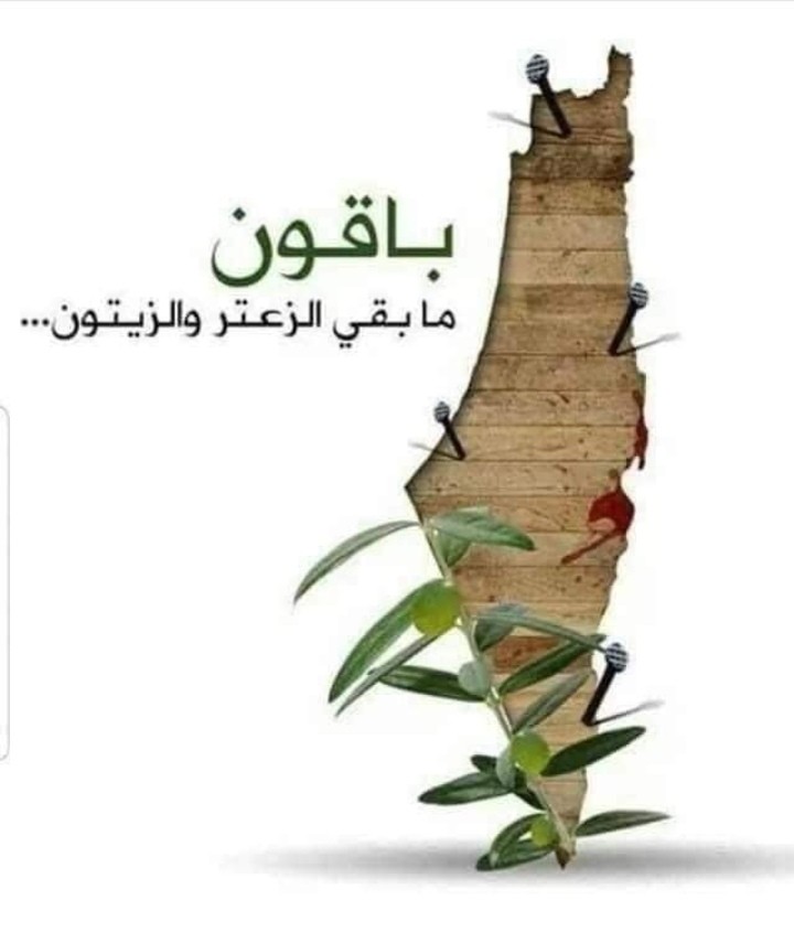 بيان صادر عن جمعية الشتات الفلسطيني وتجمع عائدون وندوات الحوار الفلسطيني الفلسطيني المنبثقة عنها.
