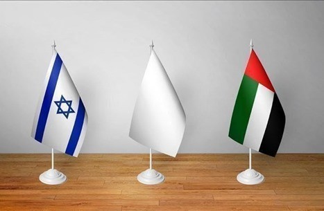 الامارات تجمد نشاط طيار تونسي والسبب 