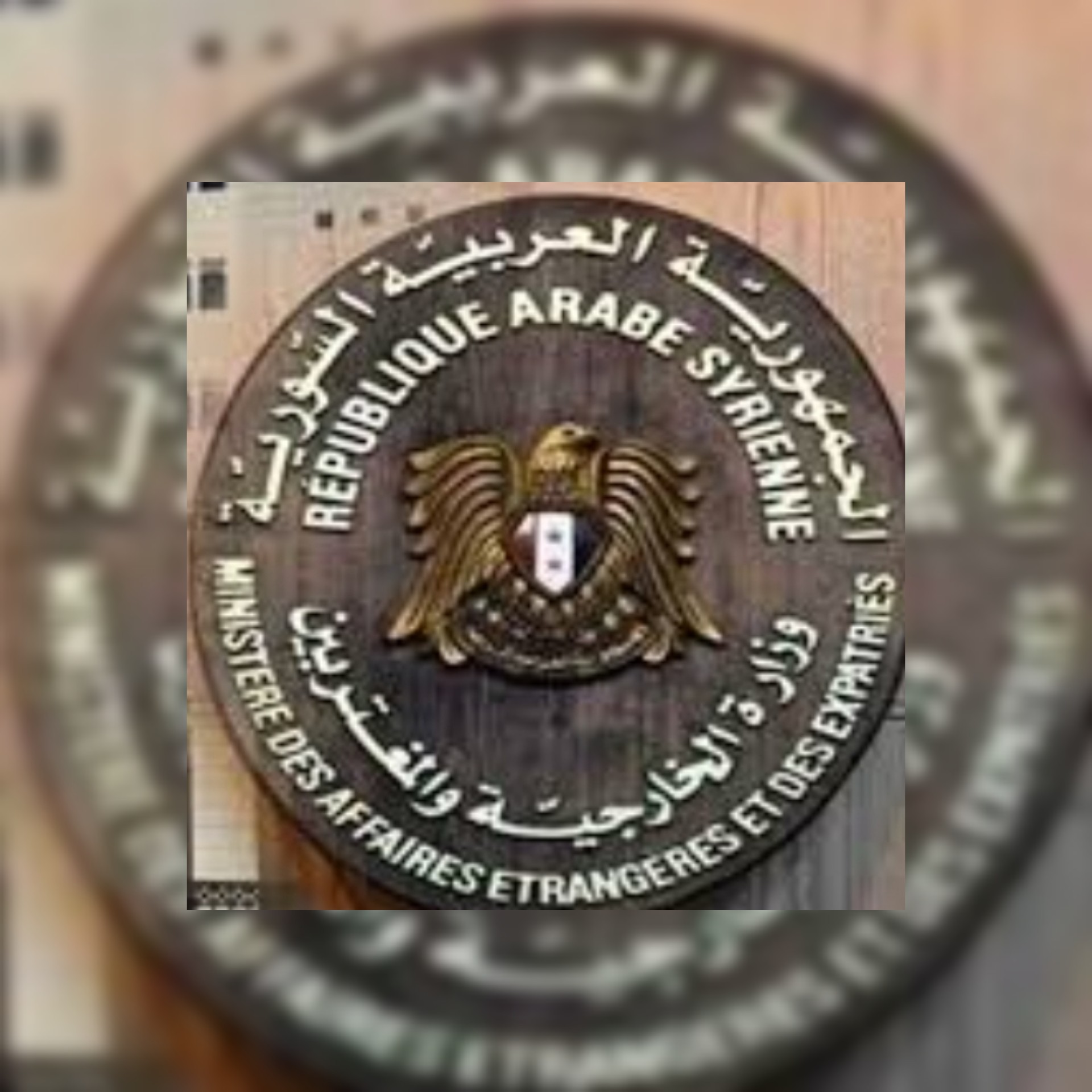 رسالة الخارجية السورية العدوان الإسرائيلي على مناطق في ديرالزور يتزامن مع ممارسات قسد الإرهابية بحق الشعب السوري